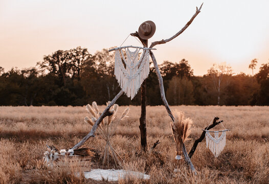 Makramee Arrangement mit Pampasgras auf der Wiese bei Sonnenuntergang