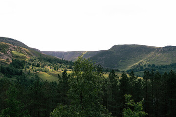 view of the mountains and forest in a sunny summer day