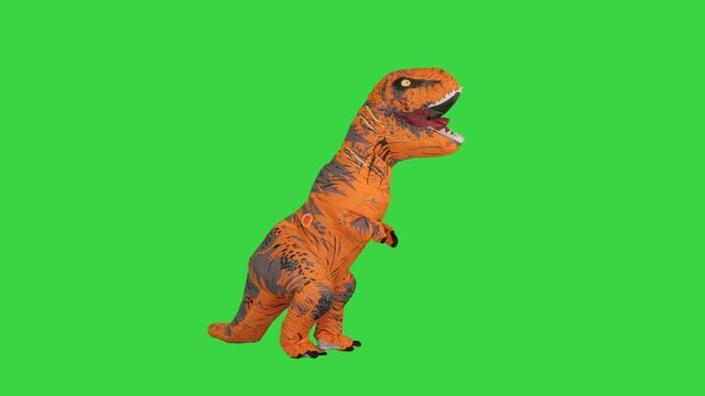 Man in a dino costume walking by searching for food on a Green Screen, Chroma Key.