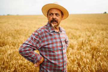 Naklejka na ściany i meble Farmer in the hatstraw hat standing in a wheat field, looking at the crop. The concept of the agricultural business.