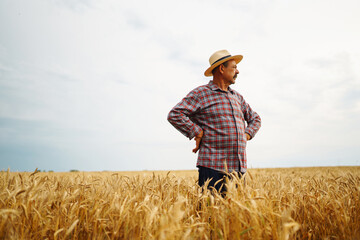 Naklejka na ściany i meble Farmer in the hatstraw hat standing in a wheat field, looking at the crop. The concept of the agricultural business.