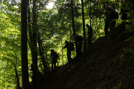 silhouette o people walking through forest