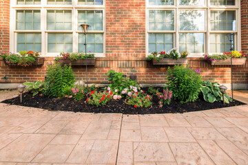 Backyard Flower Bed and Window Flower Boxes in Summer