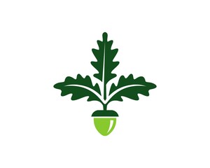 oak leaf and seed logo