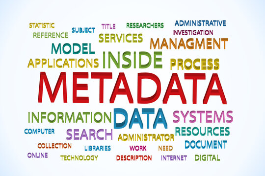 Metadata word information resources and guidance vector image design graphic illustration render background  template