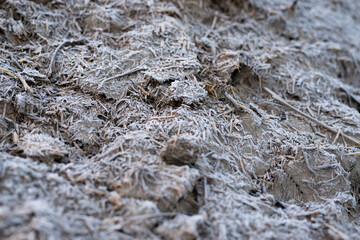 Dry straw agriculture background, Dry straw texture background.