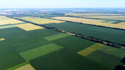 Aerial drone view flight over different agricultural fields sown