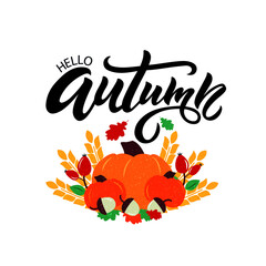 Hello autumn handwritten phrase. Modern brush ink calligraphy. Hand lettering, vintage illustration of pumpkin and berries for card, poster, emblem, banner, logo. Grunge effect. Autumn mood. Vector 