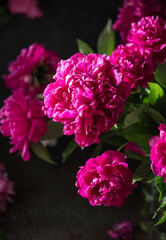 Pink peony flowers bouquet on rustic background with copy space. Women's day or wedding concept. Greeting card