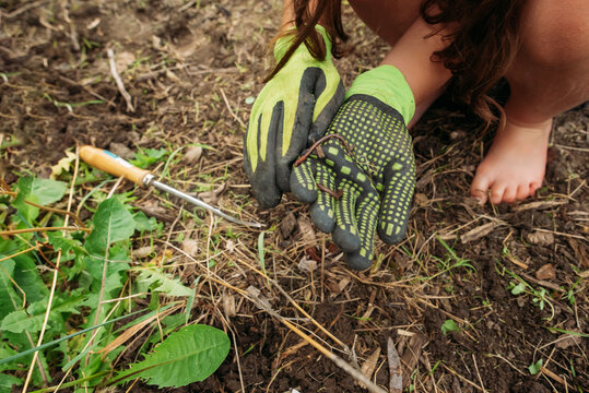 Helping hands in the flowerbed. 