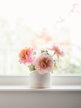 Distant Drums Rose Flowers