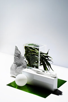 Artistic still life cannabis set with joint and marijuana leaf 