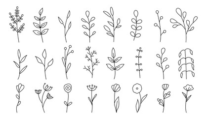 Collection of minimalistic simple floral elements. Graphic sketch. Fashionable tattoo design. Flowers, grass and leaves. Botanical natural elements. Vector illustration. Outline, line, doodle style.