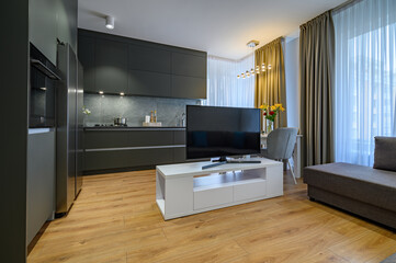 Modern large luxury dark gray kitchen