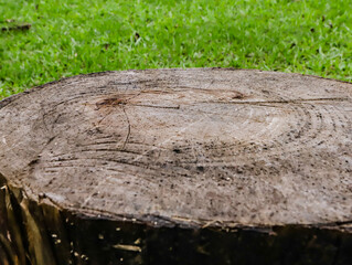 Texture and grooves of a wooden log with the green of nature in the background.

