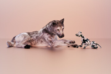 Robot dog series: real dog meets robot dog