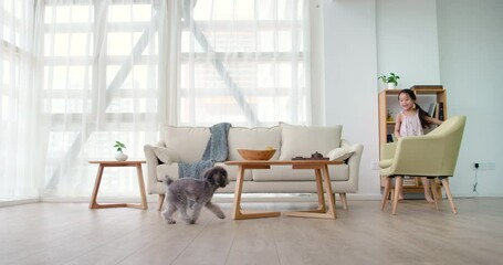 Happy little girl playing with dog in living room,4K