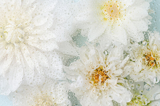 Flowers under misted glass