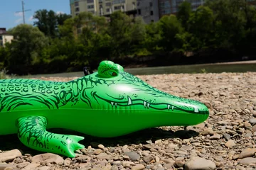 Fotobehang Inflatable toy green crocodile on a rocky beach © Міша Мула