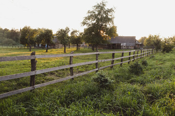 Fototapeta premium picturesque meadow field and summer landscape at sunset