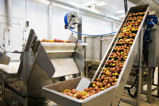 Automated production for sorting, processing and storage of potatoes