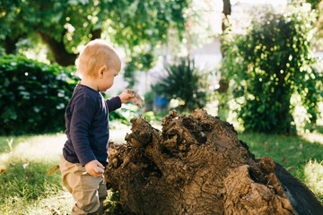 Toddler play with leaf in the garden