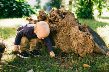 Toddler explore the grass by the stump in the garden