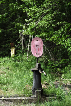 Red Switch Leven on  Overgrown Railroad Tracks 