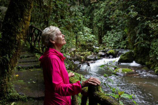 Senior looks up  in Rainforest of Costa Rica  