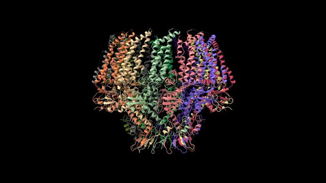 Atomic structure of the Epstein-Barr virus portal, structure I, animated 3D cartoon and Gaussian surface model in two purpendicular projections, black background