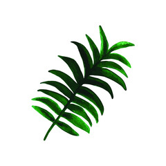 Watercolor tropical floral illustration set with green leaves for wedding stationary, greetings, wallpapers, fashion, backgrounds, textures, DIY, wrappers, postcards, logo, etc.
