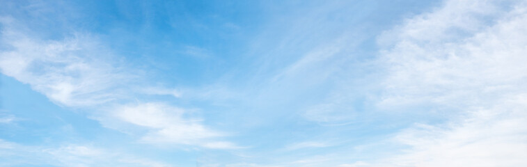 fluffy cirrus clouds at light panorama sky background - obrazy, fototapety, plakaty