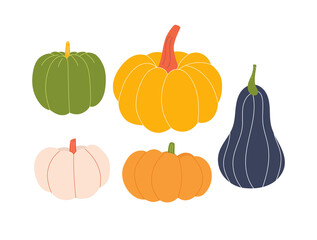 Cute pumpkin set. Autumn vegetables collection. Vector illustration.