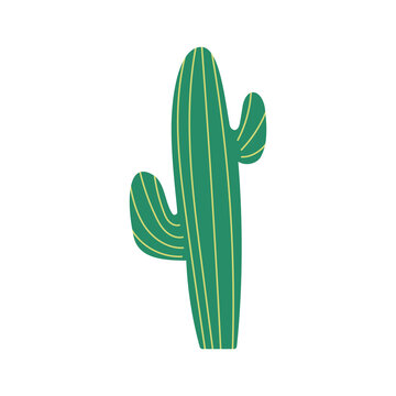 Cute hand drawn cactus isolated on white background. Vector illustration.