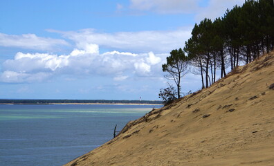 Fototapeta premium Bassin d'Arcachon depuis la dune du Pilat - vue sur le phare de Cap Ferret