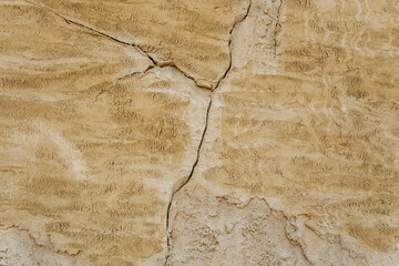 Textured mud wall with cracks