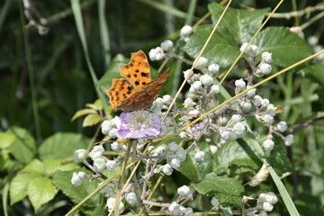 Visiting Zeeland on a sunny day