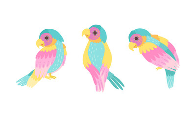 Beautiful Colorful Parrots Set, Exotic Tropical Birds Cartoon Vector Illustration