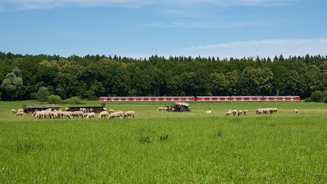 L&auml;ndliche Impression auf einer Weide s&uuml;dlich der Aubinger Lohe am westlichen M&uuml;nchner Stadtrand