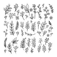 Floral ornaments doodle set. Hand drawn tree branches with leaves and flowers