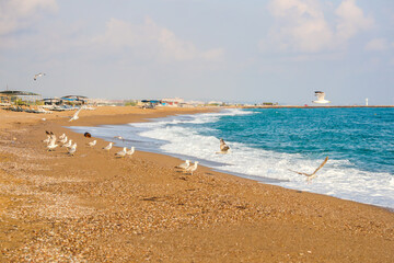 Seagulls flying, blue mediterranean sea, beach, lighthouse and sky in the background.