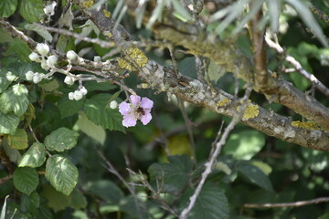 Visiting Zeeland on a sunny day