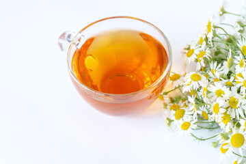 cup of herbal chamomile tea with fresh daisy flowers background, treatment and prevention of immune concept	

