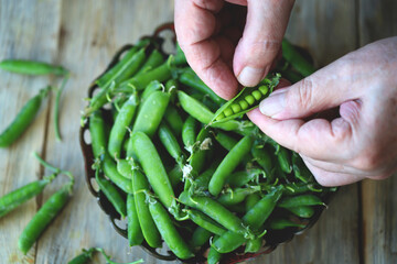 Selective focus. Macro. Fresh green peas in hands.