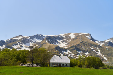 Obraz premium A lonely house in a green meadow against the backdrop of a mountain with snow. Montenegro