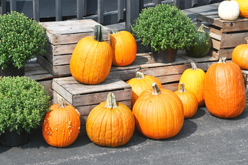 Pumpkins and Crates