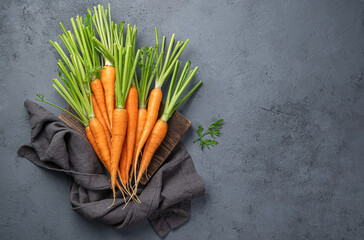 A young carrot on a gray-blue background. An organic, healthy product.