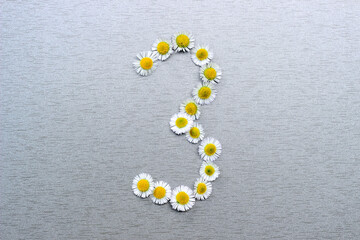Number 3 of the daisy flower on a gray background