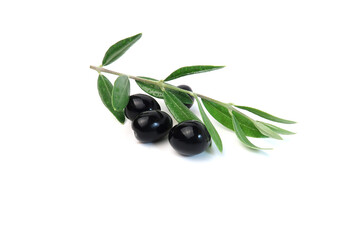 Ripe black olives with leaves on a white background.  Green leaves with olives.