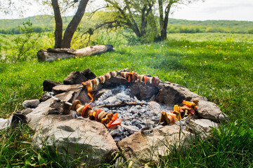 Campfire picnic
